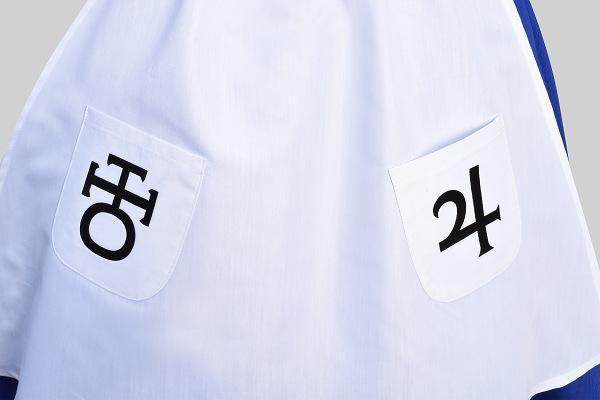 Returns Alice Cosplay Costume Maid Dress Halloween Carnival Blue Outfits Dresses For Women - zzcosplay